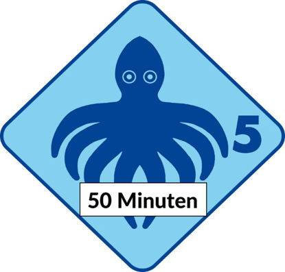 Bild von IK Tintenfisch 5x50min